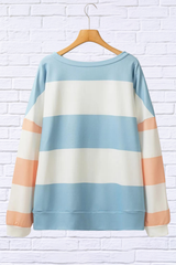 Rayne Contrast Color Block Round Neck Long Sleeve Top