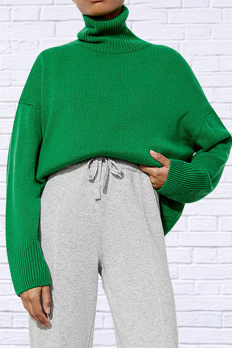 Turtle Neck Dropped Shoulder Sweater