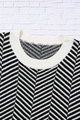 Herring Bone Round Neck Long Sleeve Sweater