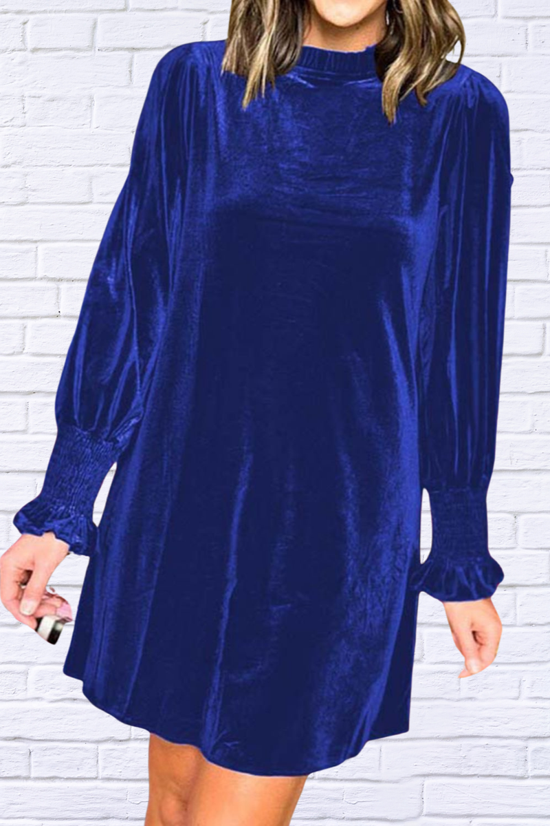 Full Size Mock Neck Smocked Long Sleeve Mini Dress