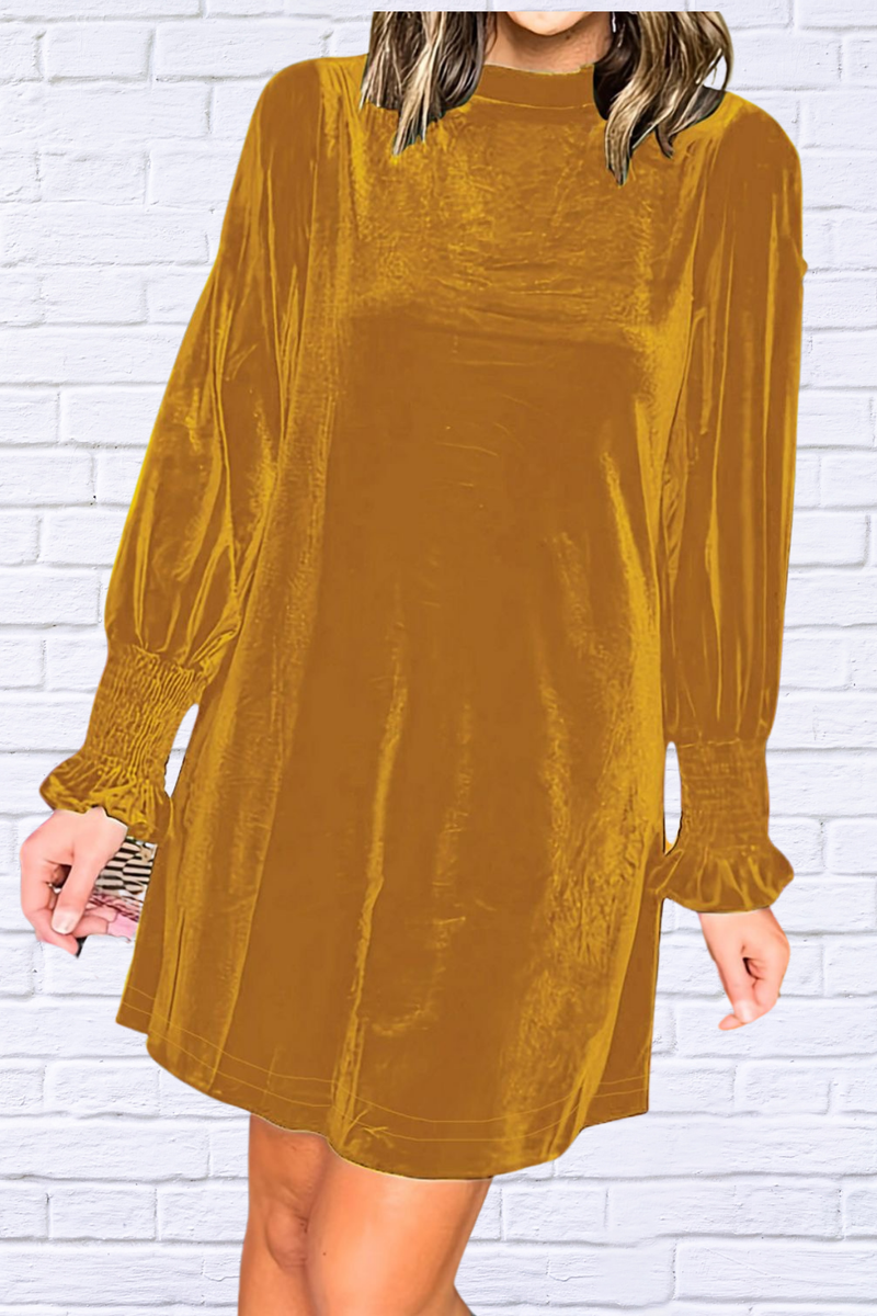 Full Size Mock Neck Smocked Long Sleeve Mini Dress