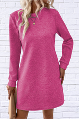 Textured Round Neck Long Sleeve Mini Dress