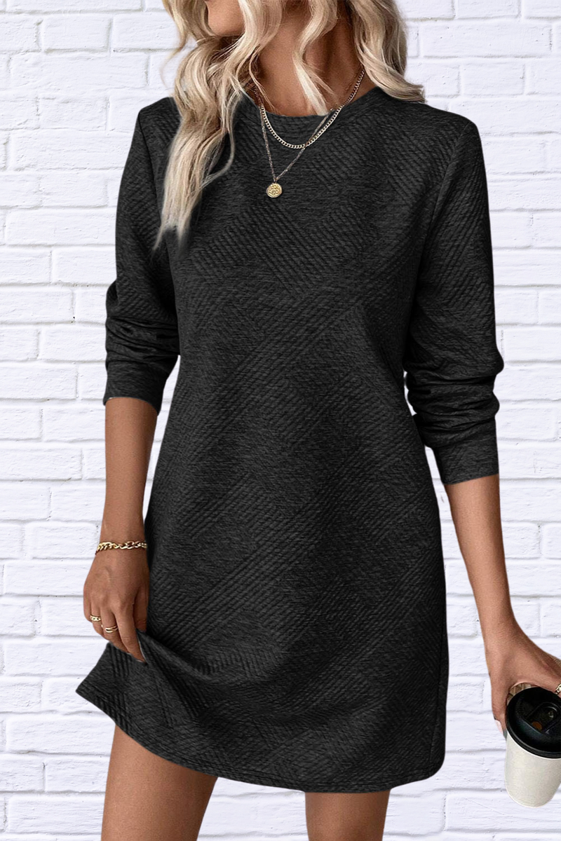 Textured Round Neck Long Sleeve Mini Dress