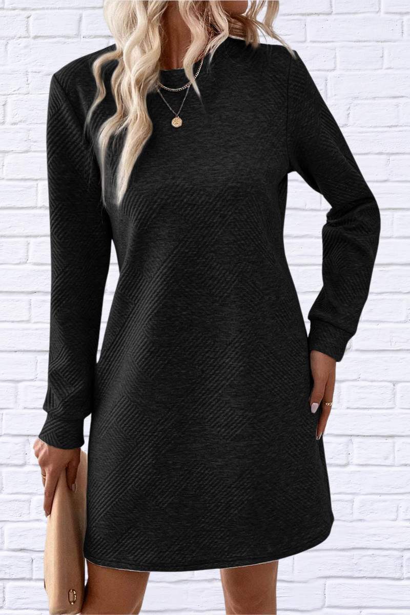 Textured Round Neck Long Sleeve Mini Dress