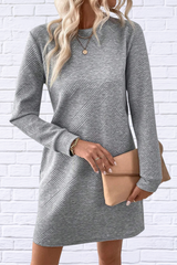 Textured Round Neck Long Sleeve Mini Dress