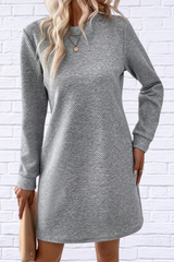 Textured Round Neck Long Sleeve Mini Dress