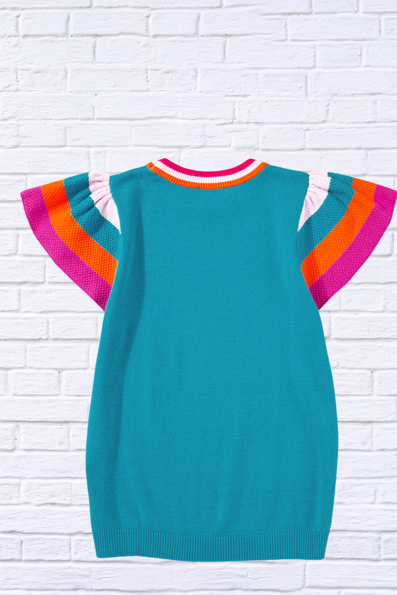 Color Block Round Neck Knit Top