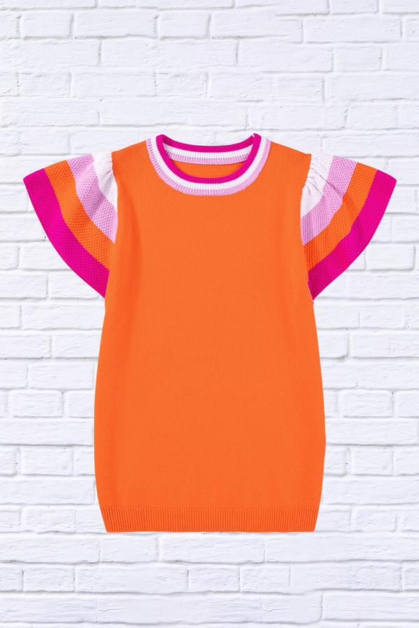 Color Block Round Neck Knit Top With Frill Sleeve