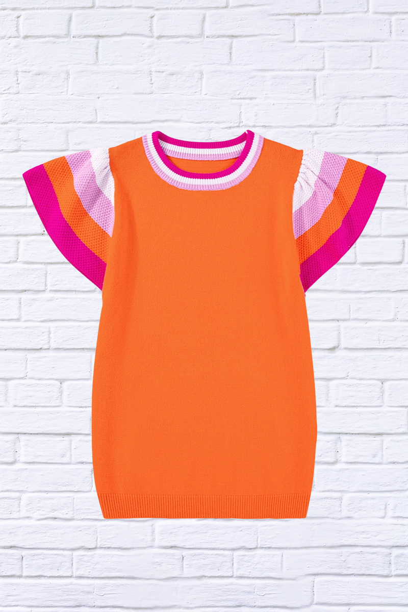 Color Block Round Neck Knit Top