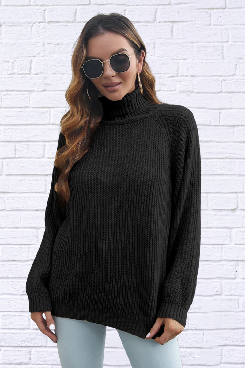 Turtleneck Rib-Knit Sweater