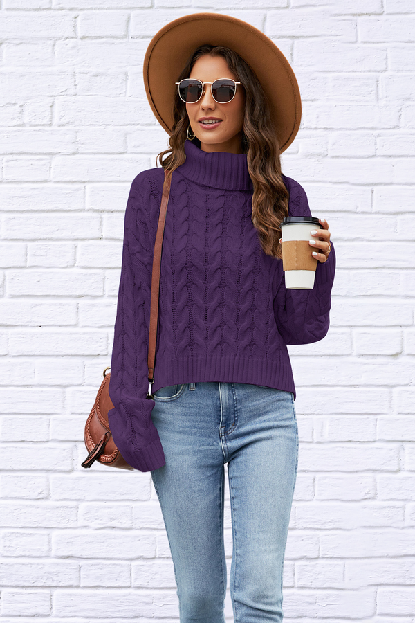 Turtleneck Cable-Knit  Long Sleeve Sweater