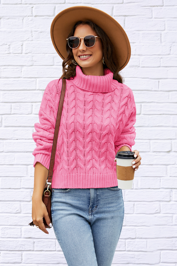 Turtleneck Cable-Knit  Long Sleeve Sweater